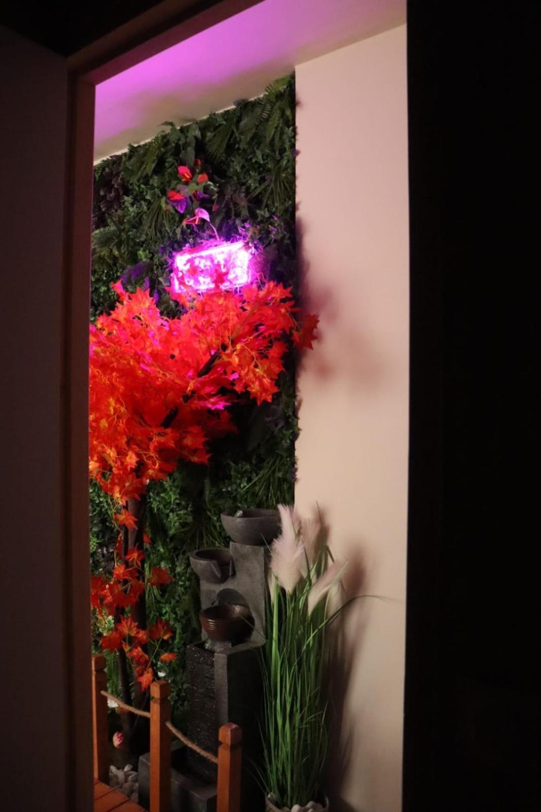 Loveroom Japon Avec Balneotherapie تولون المظهر الخارجي الصورة